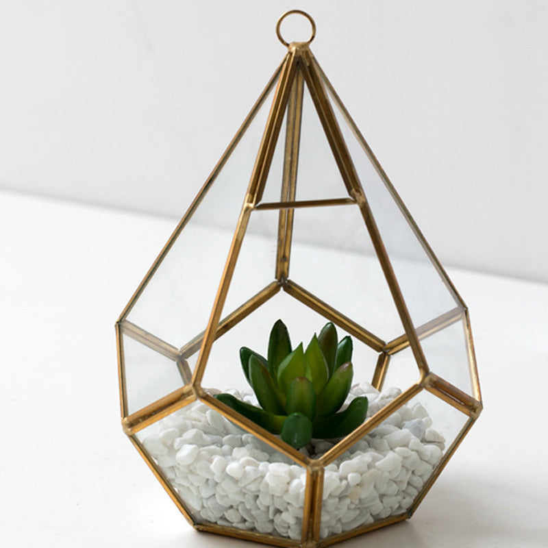 Home Succulent Bonsai Decoration: Greenery Without the Fuss.