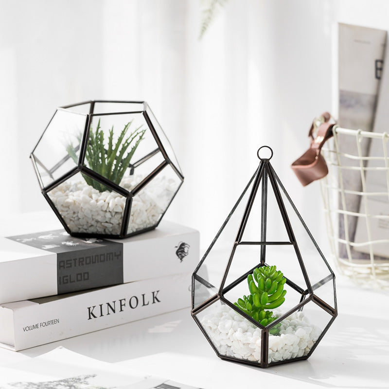 Home Succulent Bonsai Decoration: Greenery Without the Fuss.