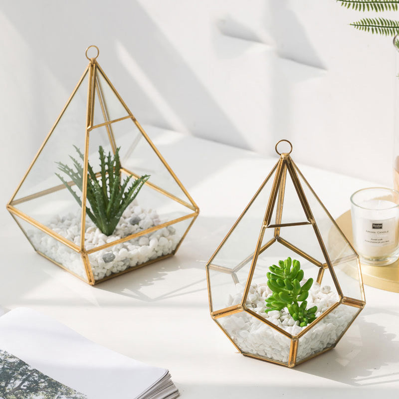 Home Succulent Bonsai Decoration: Greenery Without the Fuss.