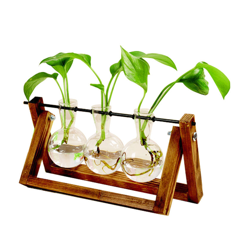 Swing Wooden Stand Hydroponic Plant: Greenery with a Gentle Motion